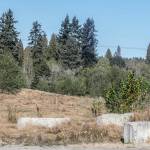 Site of the proposed Carousel Ranch Community Ranch near Woodinville, Washington on October 11, 2022. (Kevin Clark / The Herald)