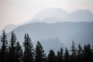Smoke from the Bolt Creek fire silhouettes a mountain ridge and trees just outside of Index on Sept. 12, 2022. (Olivia Vanni / The Herald)