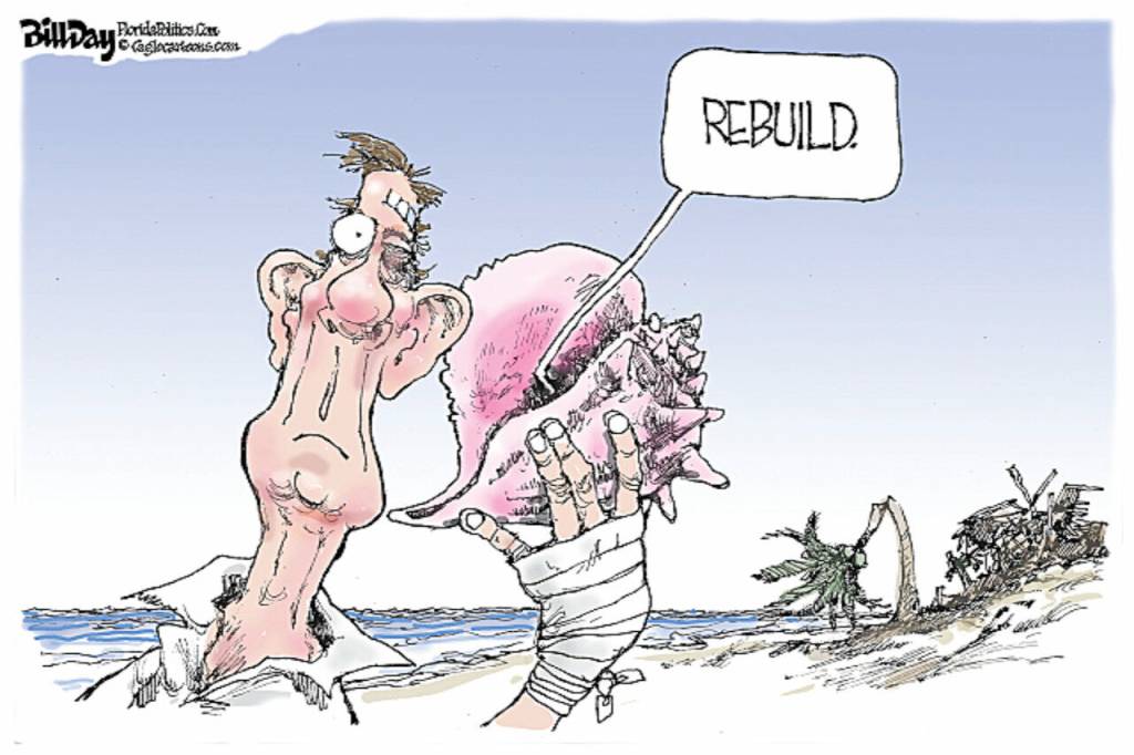 toon