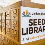 Everett Library’s new “un-bee-leaf-able” Seed Library on Friday, Oct. 7, 2022 in Everett, Washington. (Olivia Vanni / The Herald)