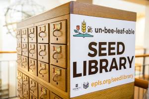 Everett Library’s new “un-bee-leaf-able” Seed Library on Friday, Oct. 7, 2022 in Everett, Washington. (Olivia Vanni / The Herald)
