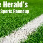 White line on Green grass sport field for sport concept