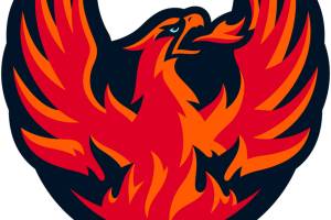 The AHL's Coachella Valley Firebirds, a Seattle Kraken affiliate.