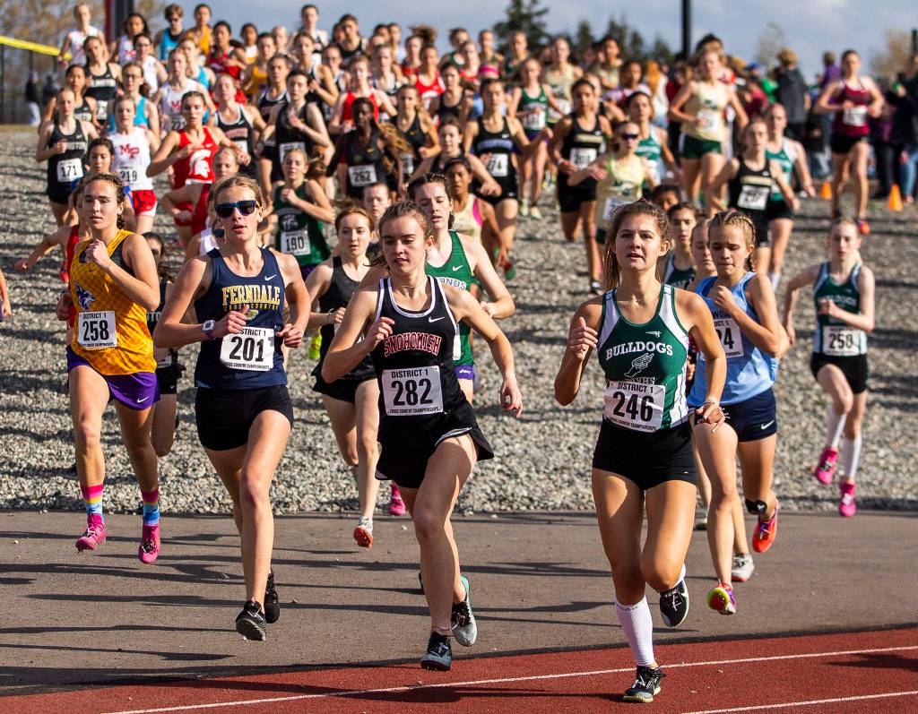 The runners in the 3A Girls District Cross Country championship race run onto the track on Saturday, Oct. 29, 2022 in Arlington, Washington. (Olivia Vanni / The Herald)