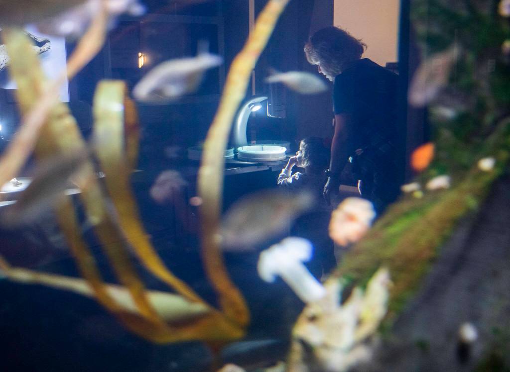 Caroline Irwin and granddaughter Cora Vryhof, 2, look at a rock through a digital microscope at the Imagine Childrens Museum on Oct. 26, in Everett. (Olivia Vanni / The Herald)