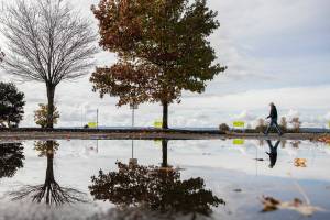 A person walks along the Tenth Street Boat Launch where a large puddle has formed from the the heavy rains over the last few days on Tuesday, Nov. 1, 2022 in Everett, Washington. (Olivia Vanni / The Herald)