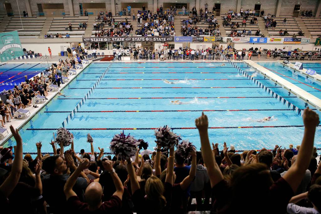 The Mercer Island faithful cheer as their 400 yard freestyle relay team blow the competition out of the water during the final race of the WIAA 3A Girls State Swim and Dive Championships on Saturday, Nov. 12, 2022, at the Weyerhaeuser King County Aquatic Center in Federal Way, Washington. (Ryan Berry / The Herald)
