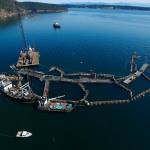 FILE - In this photo provided by the Washington State Department of Natural Resources, a crane and boats are anchored next to a collapsed "net pen" used by Cooke Aquaculture Pacific to farm Atlantic Salmon near Cypress Island in Washington state on Aug. 28, 2017, after a failure of the nets allowed tens of thousands of the nonnative fish to escape. A Washington state jury on Wednesday, June 22, 2022, awarded the Lummi Indian tribe $595,000 over the 2017 collapse of the net pen where Atlantic salmon were being raised, an event that elicited fears of damage to wild salmon runs and prompted the Legislature to ban the farming of the nonnative fish. (David Bergvall/Washington State Department of Natural Resources via AP, File)