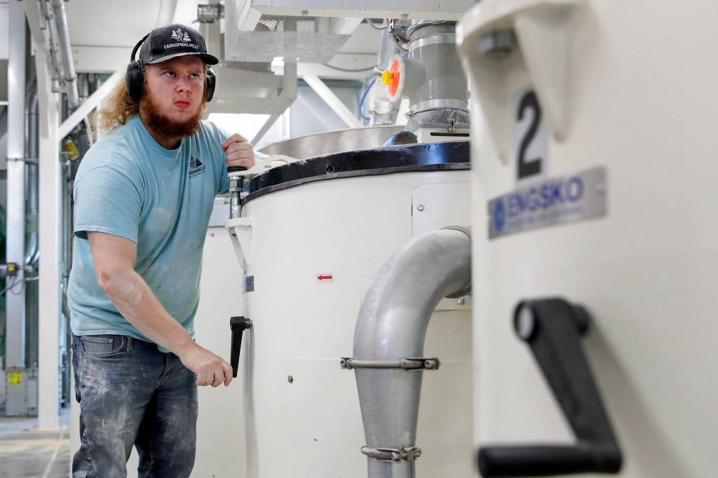 Carson Hawkins adjust grinding wheeling at Cairnspring Mills on Sept. 20, in Burlington. (Kevin Clark / The Herald)