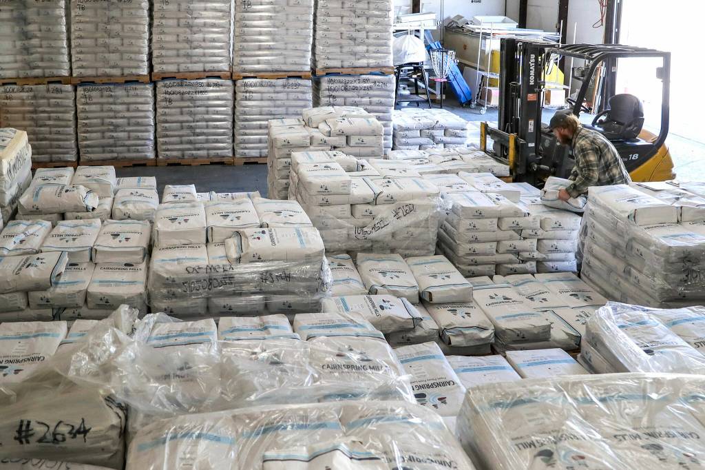 Carson Hawkins sorts through a pallet to fill an order at Cairnspring Mills on Sept. 20, in Burlington. (Kevin Clark / The Herald)