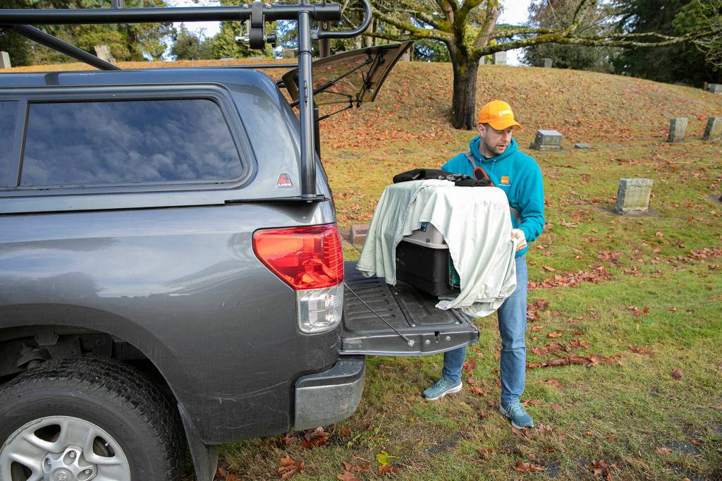 Jeff Brown, wildlife naturalist with PAWS, pulls a cage containing a rehabilitated red-tailed hawk out of his truck before the birds release Wednesday, Nov. 23, 2022, at Evergreen Cemetery in Everett, Washington. (Ryan Berry / The Herald)