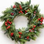 Festive Christmas wreath of fresh natural spruce branches with red holly berries isolated on white background. New Year. Top view. Traditional decoration for Xmas holiday.