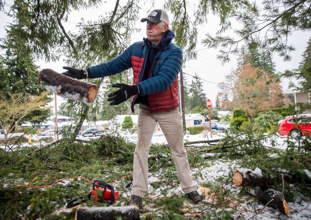 Terry Jackson throws a piece of tree branch as he uses a chainsaw to clean up storm debris on Wednesday, Nov. 30, 2022 in Edmonds, Washington. (Olivia Vanni / The Herald)