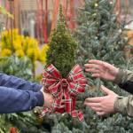 A living garden gift for the gardener in your life.