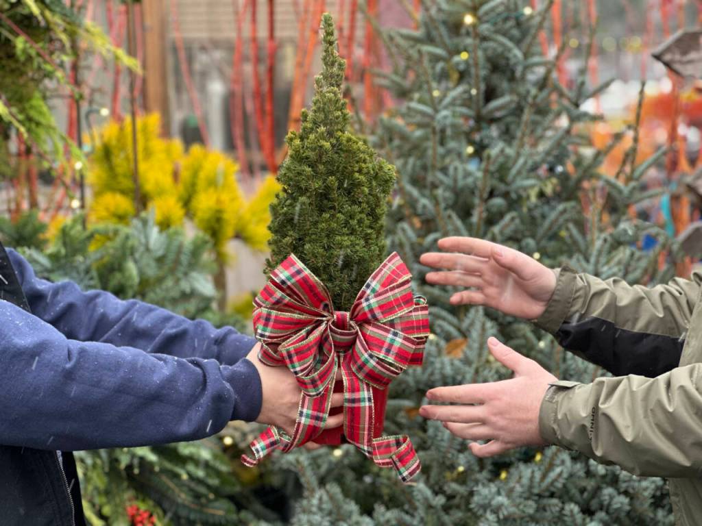 A living garden gift for the gardener in your life.