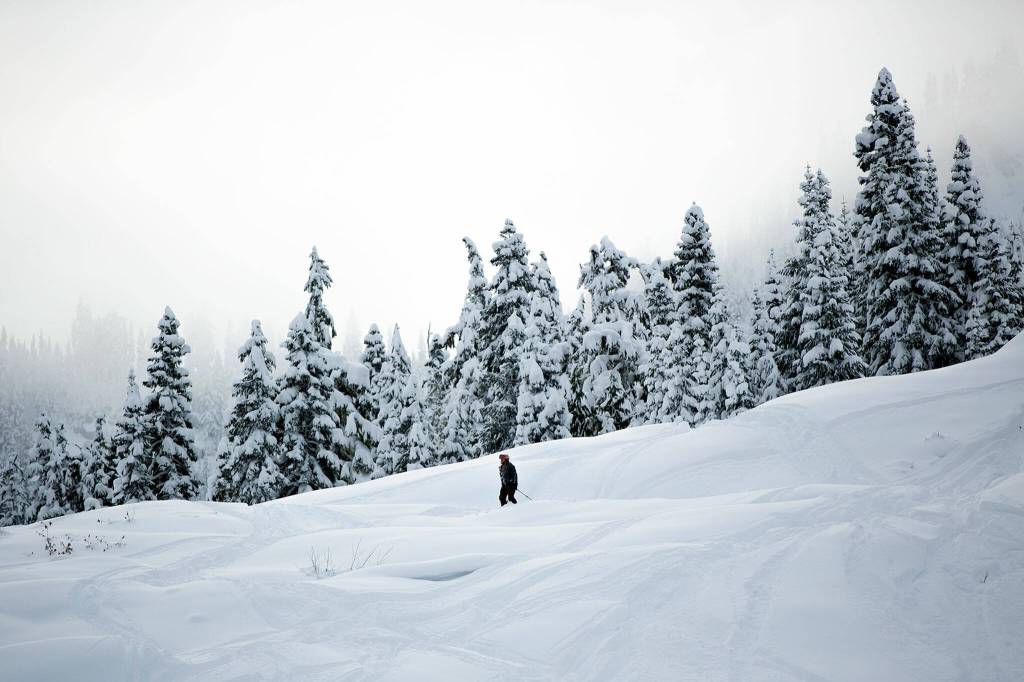 A skier comes to a stop before heading down a patch of ungroomed snow. (Ryan Berry / The Herald)