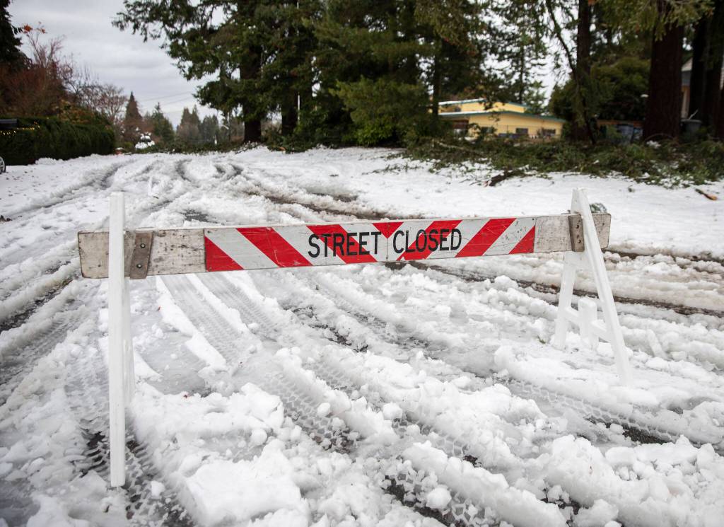 A street closed sign blocks off a street with tree debris covering the road on Wednesday, Nov. 30, 2022, in Edmonds, Washington. (Olivia Vanni / The Herald)