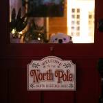 Mia, one of the Schultzs many rescue animals, takes a peek out the front door at Living Aloha Farm in Lake Stevens. (Ryan Berry / The Herald)