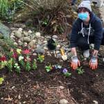Volunteering at Stanwood Camano Food Bank - Photo courtesy of Village Community Services