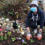 Volunteering at Stanwood Camano Food Bank - Photo courtesy of Village Community Services