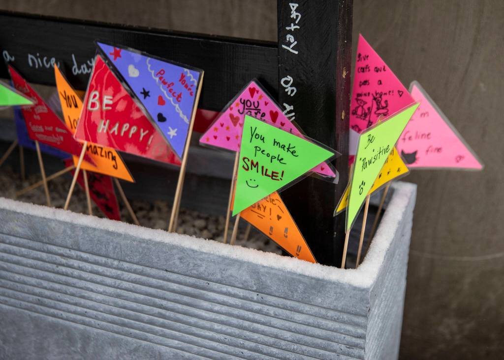 Decorative details added to the pantry by a local Girl Scout troop on Dec. 20, in Mill Creek. (Olivia Vanni / The Herald)