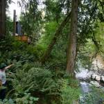 Co-owner Andy Whitcomb stands below Cabin 3 and above a trickling Canyon Creek at Canyon Creek Cabins on Sep. 23, in Granite Falls. (Ryan Berry / The Herald)