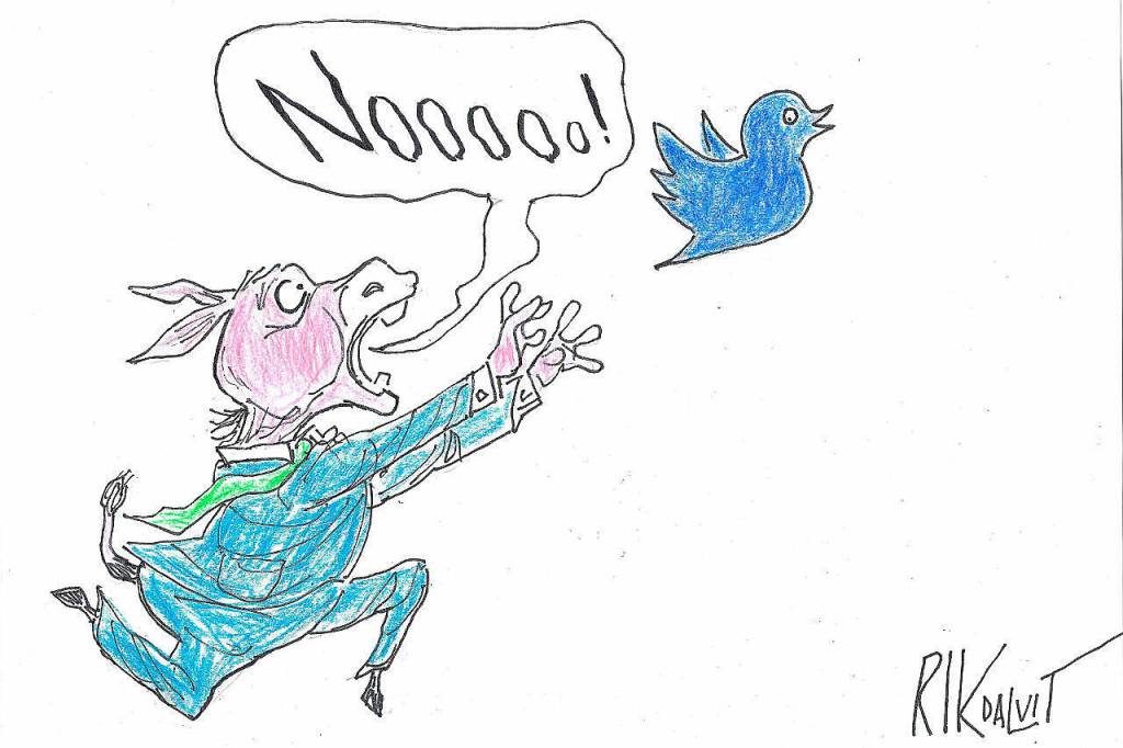 toon