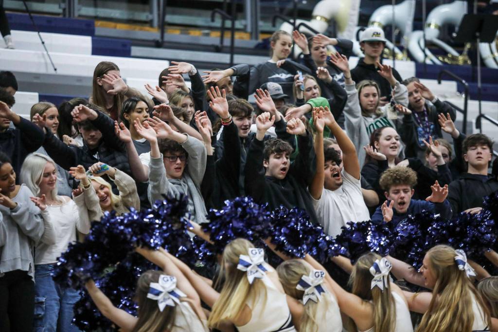 Glacier Peak students cheer during a game between the Lake Stevens Vikings and Glacier Peak Grizzlies on Friday in Snohomish. The Grizzlies won 51-32. (Annie Barker / The Herald)