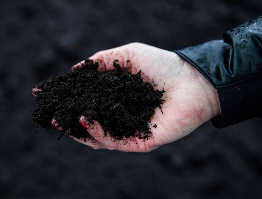 A handful of finished compost on Thursday, Jan. 12, 2023 in Everett, Washington. (Olivia Vanni / The Herald)