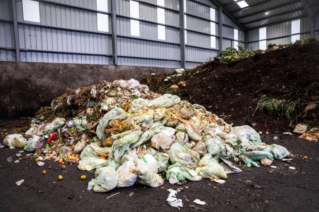 A large pile of food waste fills a section of the tipping building at Cedar Grove Composting on Thursday, Jan. 12, 2023 in Everett, Washington. (Olivia Vanni / The Herald)