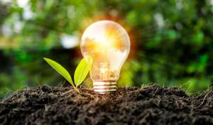 Growth concept. Including learning, education, investment, business sector, technology, innovation. Comparison of bulbs grown in the soil and illuminating the sides, with leaves