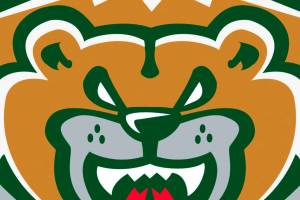 Silvertips gamers with no art.