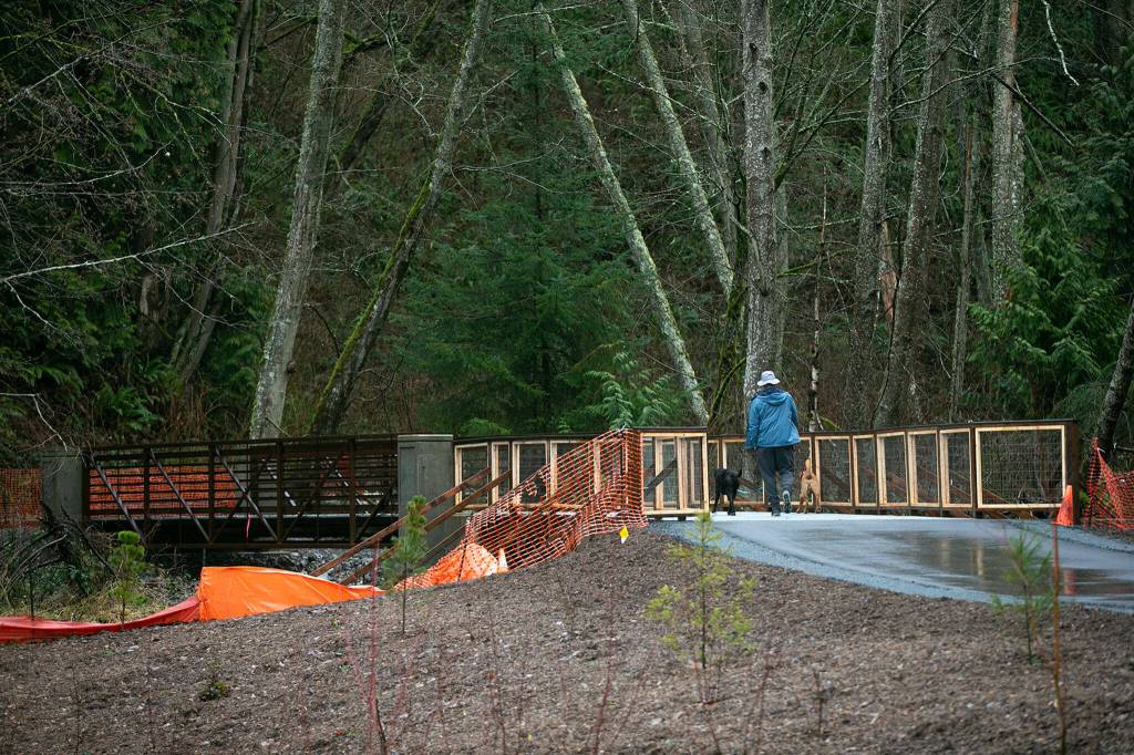 A man walks his two dogs on a new bridge over Lunds Gulch Creek at Meadowdale Beach Park on Jan. 12, in Edmonds. (Ryan Berry / The Herald)