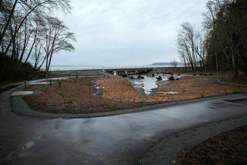 A new path and yet-to-be-finished natural space replaces former park space at Meadowdale Beach Park on Jan. 12, in Edmonds. (Ryan Berry / The Herald)