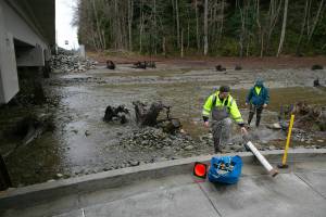 John Herrmann and Keith Hume, both of the Surface Water Management team at the Snohomish County Department of Conservation and Natural Resources, prepare to install a staff gauge at the mouth of Lunds Gulch Creek at Meadowdale Beach Park on Thursday, Jan. 12, 2023, in Edmonds, Washington. Part of the park’s redesign involved widening the waterway and returning it to a more natural state to provide better habitat for fish and other wildlife. (Ryan Berry / The Herald)
