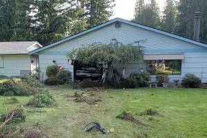 An alleged drunken driver hit a bicyclist and crashed into a Marysville home, killing a 97-year-old woman Saturday. (Marysville Police Department) 20200829
