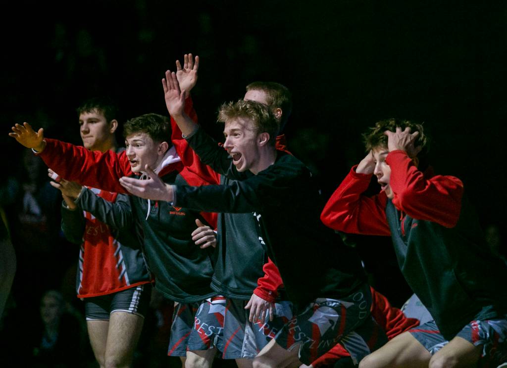 Stanwood wrestlers react to a pin during the match against Arlington on Tuesday, Jan. 24, 2023 in Arlington, Washington. (Olivia Vanni / The Herald)