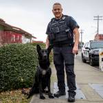 K-9 Hobbs and Sgt. Jason Robinson after Hobbs retirement ceremony at the Edmonds Police Department on Thursday in Edmonds. (Annie Barker / The Herald)
