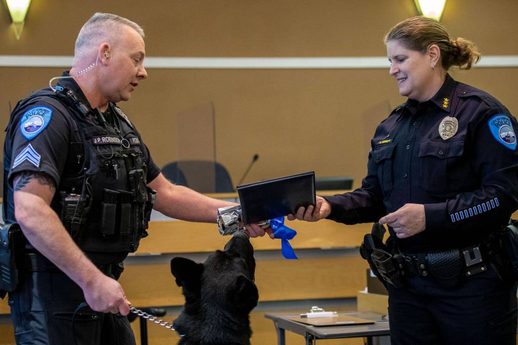 Sgt. Jason Robinson, left, and K-9 Hobbs receive a medal from Edmonds Police Chief Michelle Bennett during Hobbs retirement ceremony at the Edmonds Police Department on Thursday, in Edmonds. (Annie Barker / The Herald)