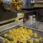 Campanelle pasta is extruded from a machine. (Photo by David Welton)