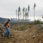 Forester John Moon, left, and Acting Silviculture Manager Cody Topping, both from the DNR, cross a ditch along a temporary roadway at the site of the Middle May timber sale in the Reiter Foothills on Jan. 26, outside Gold Bar. (Ryan Berry / The Herald)