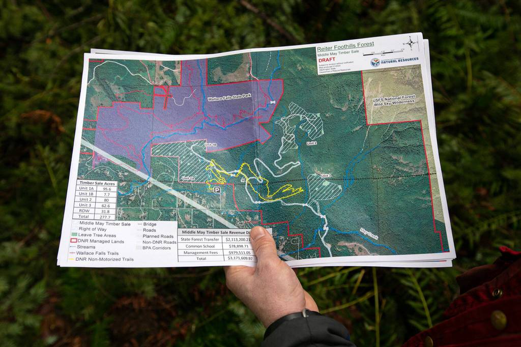 A map shows the Middle May timber sale, marked with white diagonal stripes, in the Reiter Foothills on Jan. 26, outside Gold Bar. (Ryan Berry / The Herald)