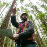 John Moon, a DNR forester, uses a map while standing along a rerouted trail in the Reiter Foothills on Jan. 26, outside Gold Bar. Crews and volunteers intend to get the trail back in good shape after going unmaintained for a few years. (Ryan Berry / The Herald)