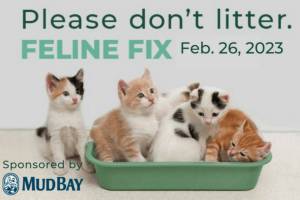 The Everett Animal Shelter will host their second annual Feline Fix, an event that provides low-cost cat spays and neuters, on Feb. 26 2023 in Everett, Washington. (City of Everett)