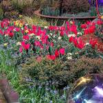 The Northwest Flower and Garden Festival is known for its display gardens. Shown here is Mother Nature as Muse - Mixing Magic & Materials by Millennium Landscape & Construction of Snohomish at the 2018 event. (Northwest Flower and Garden Festival)