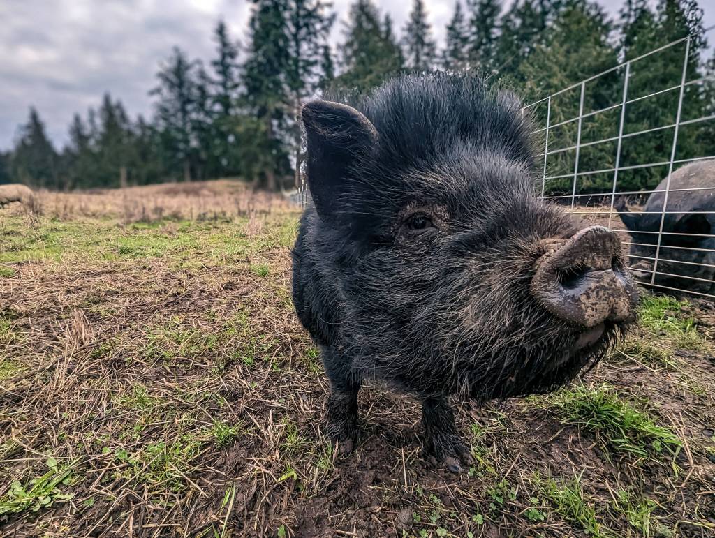 Uncle Sunlight poses for his close-up. (Photo provided)