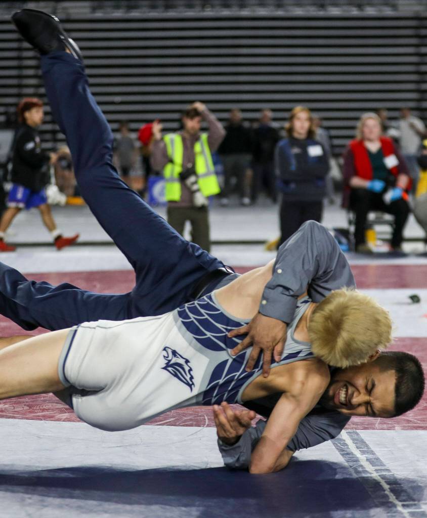 Chiawanas Isaiah Medina bodyslams one of his coaches after the 4A Boys 113-pound championship match during the Mat Classic XXXIV at the Tacoma Dome in Tacoma, Washington on Saturday, Feb. 18, 2023. (Annie Barker / The Herald)