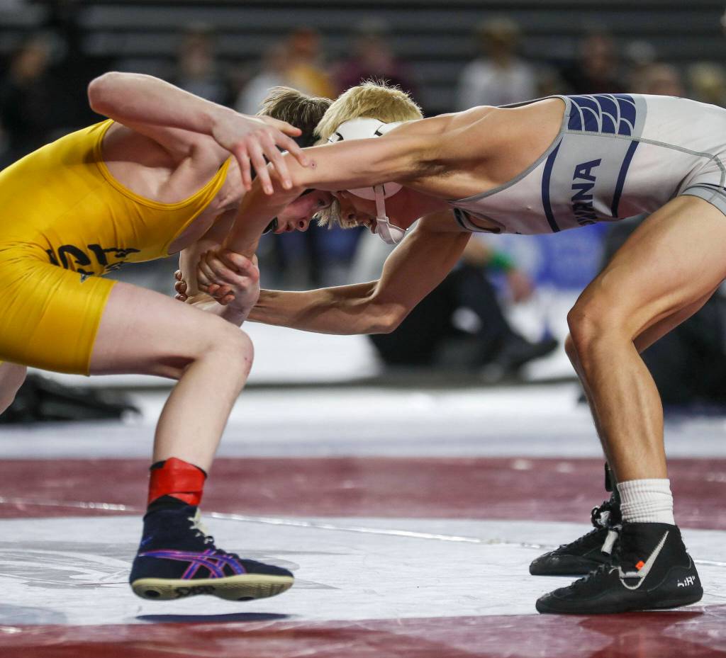 Lake Stevens Jacob Christianson and Chiawanas Isaiah Medina wrestle during the 4A Boys 113-pound championship match during the Mat Classic XXXIV at the Tacoma Dome in Tacoma, Washington on Saturday, Feb. 18, 2023. (Annie Barker / The Herald)