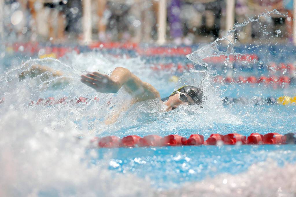 Shorecrest senior Sean Neils swims in the 100 yard freestyle final at the 3A WIAA Boys High School Swim and Dive Championships on Friday, Feb. 18, 2023, at the Weyerhaeuser King County Aquatic Center in Federal Way, Washington. (Ryan Berry / The Herald)