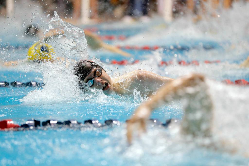 Snohomish sophomore Torsten Hokanson swims in the 100 yard freestyle consolation at the 3A WIAA Boys High School Swim and Dive Championships on Friday, Feb. 18, 2023, at the Weyerhaeuser King County Aquatic Center in Federal Way, Washington. (Ryan Berry / The Herald)